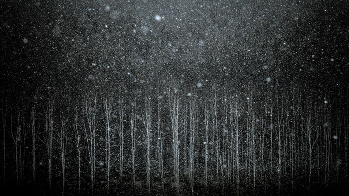優秀賞　　井上浩輝さんの作品　「Winter Begins」